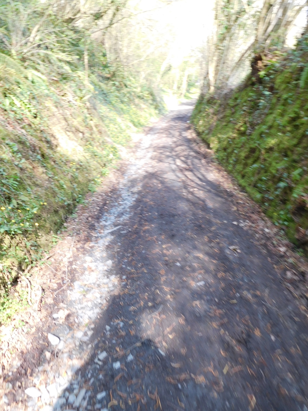 2017-03-27/DSCN4268.JPG