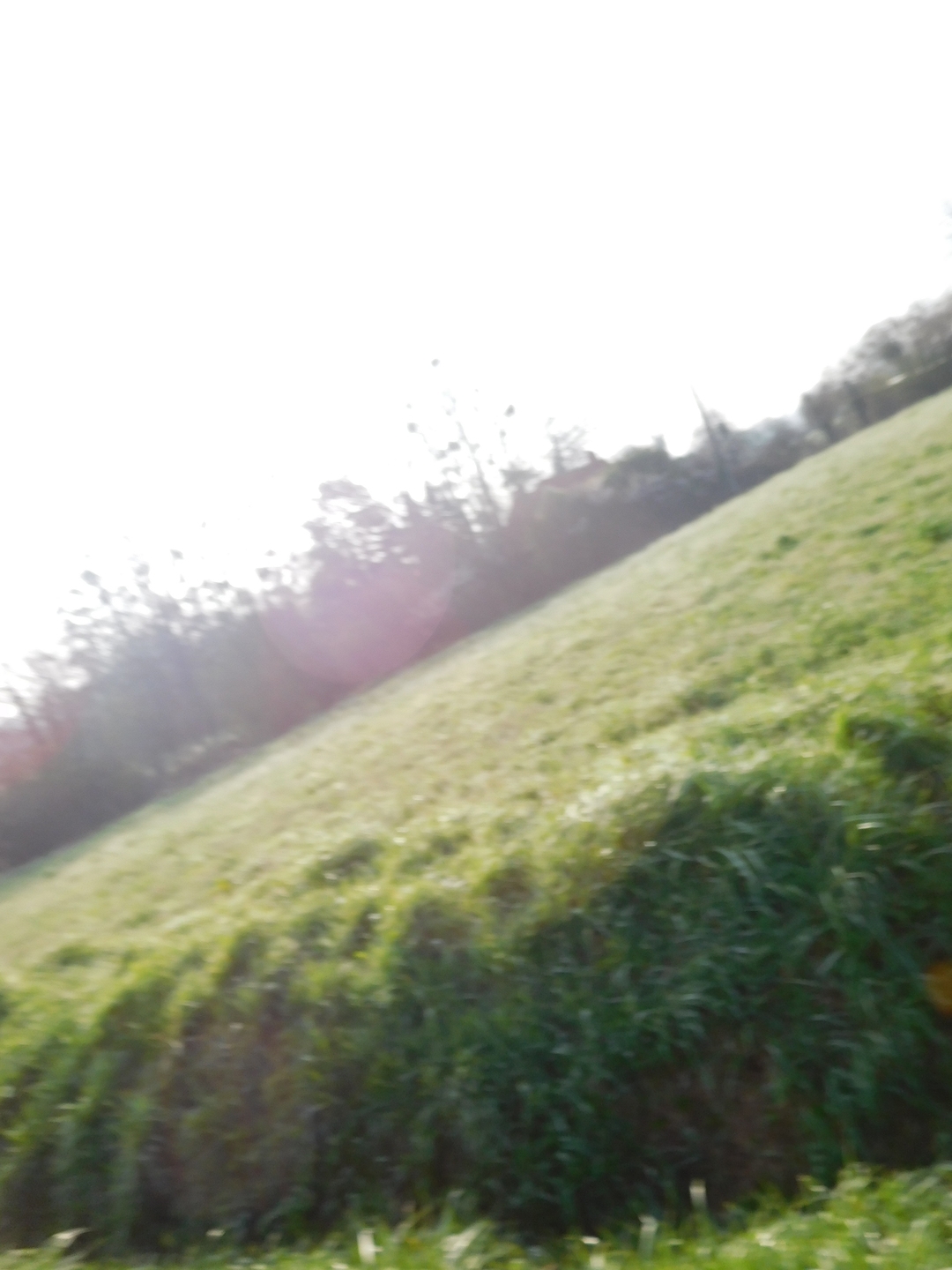 2017-03-27/DSCN4246.JPG