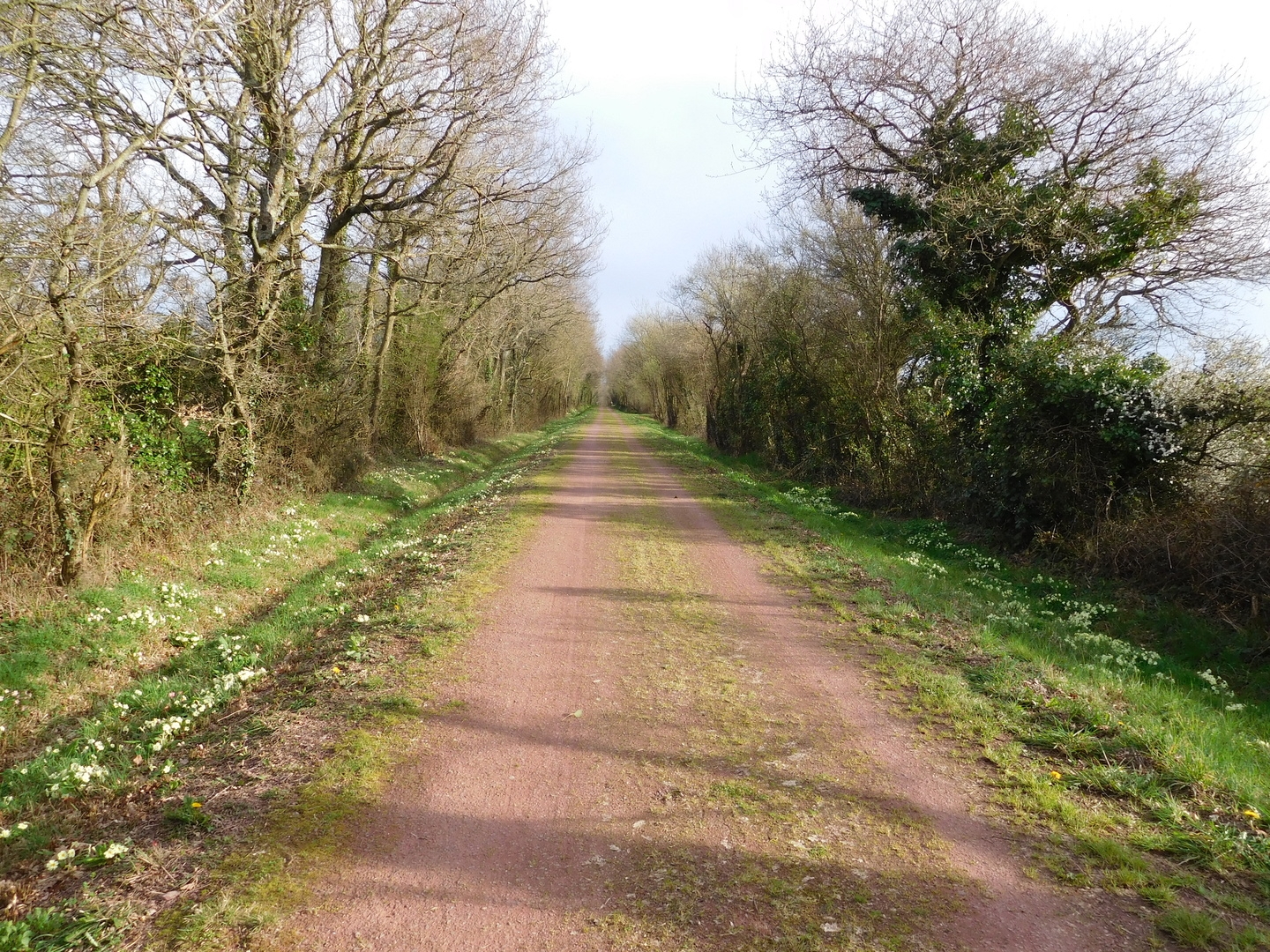 17:41:22