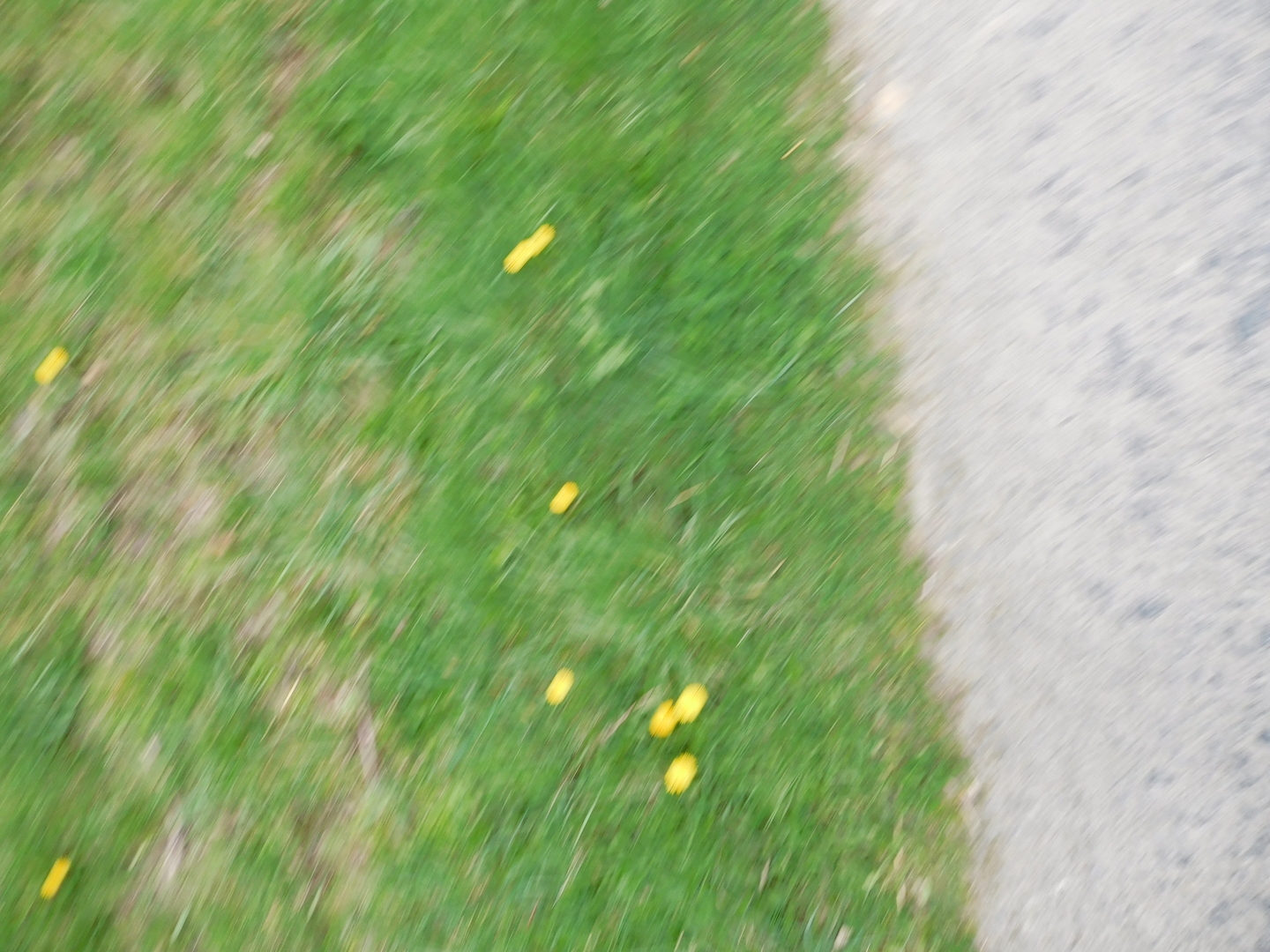 2017-03-28/DSCN4342.JPG