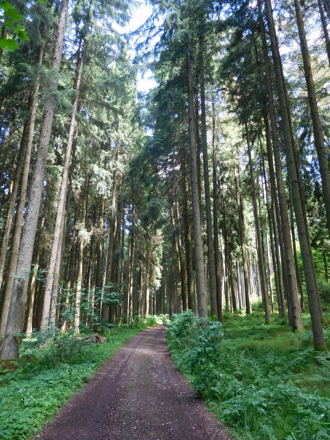 13:48:26