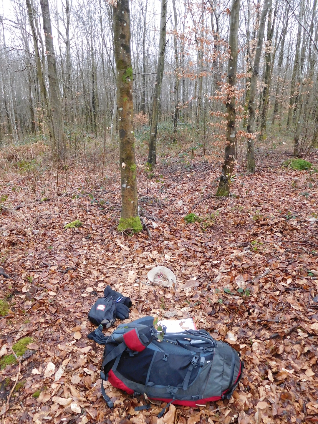 08:40:41